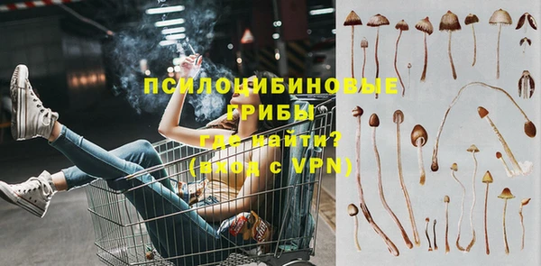 бошки Тутаев
