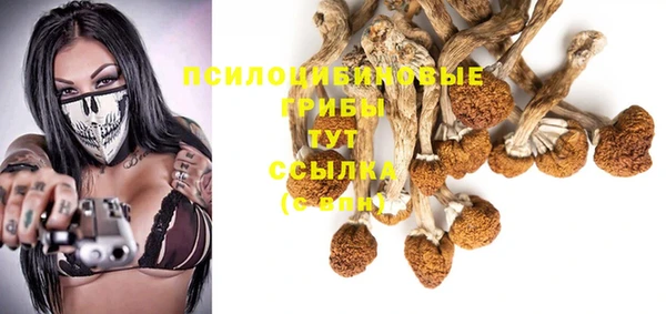 PSILOCYBIN Богородицк