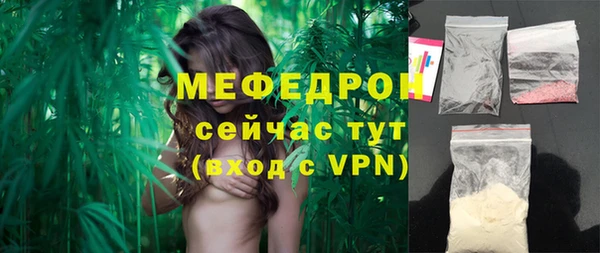 индика Фурманов