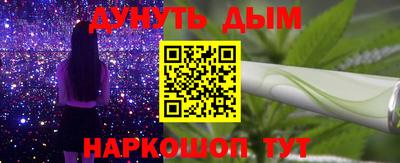 крисы Гатчина