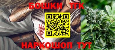 крисы Гатчина