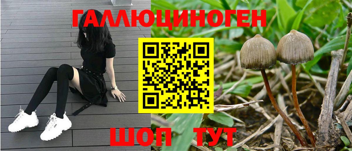 Псилоцибиновые грибы прущие грибы Коломна