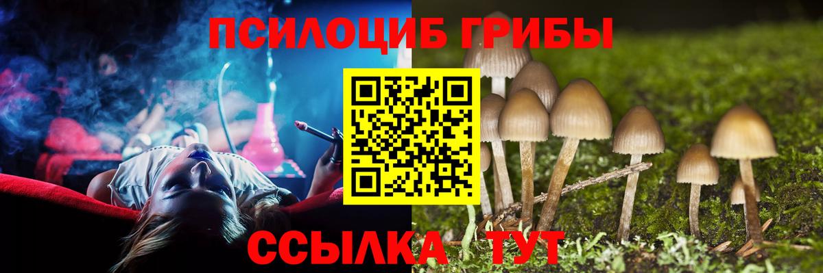 Псилоцибиновые грибы Psilocybine cubensis  Коломна 