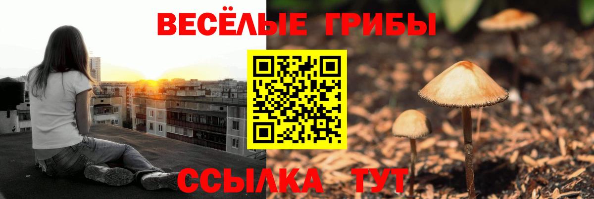 Коломна  Псилоцибиновые грибы ЛСД  Вход с VPN 